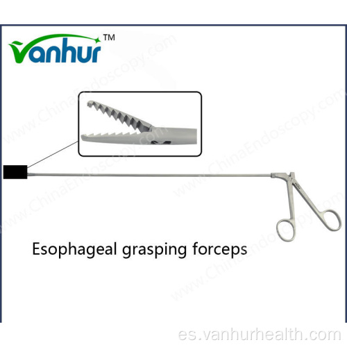 Instrumentos quirúrgicos Pinzas de agarre esofágicas
